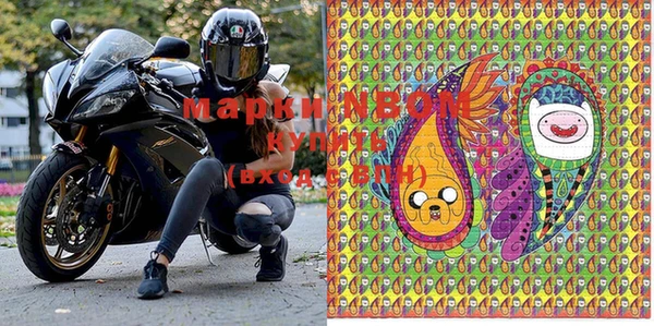 стафф Баксан