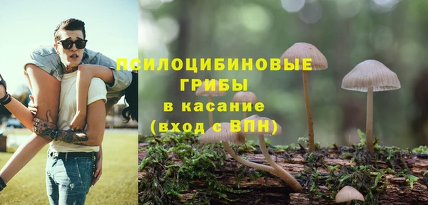 2c-b Балахна